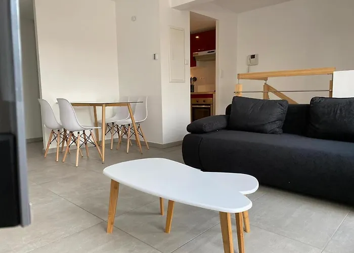 Appartement 301 - Duplex Moderne - Jeanne D Arc, Toulouse